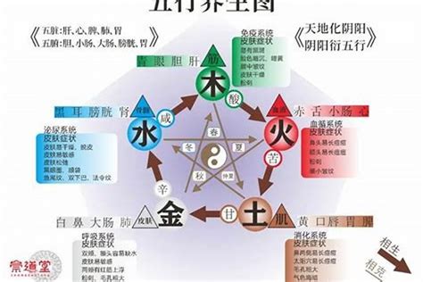 五行缺木和水怎么補救方法 五行缺木的男人命運